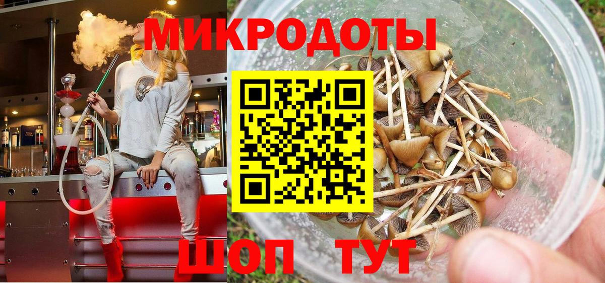 Обь  Галлюциногенные грибы GOLDEN TEACHER  Вход с VPN 